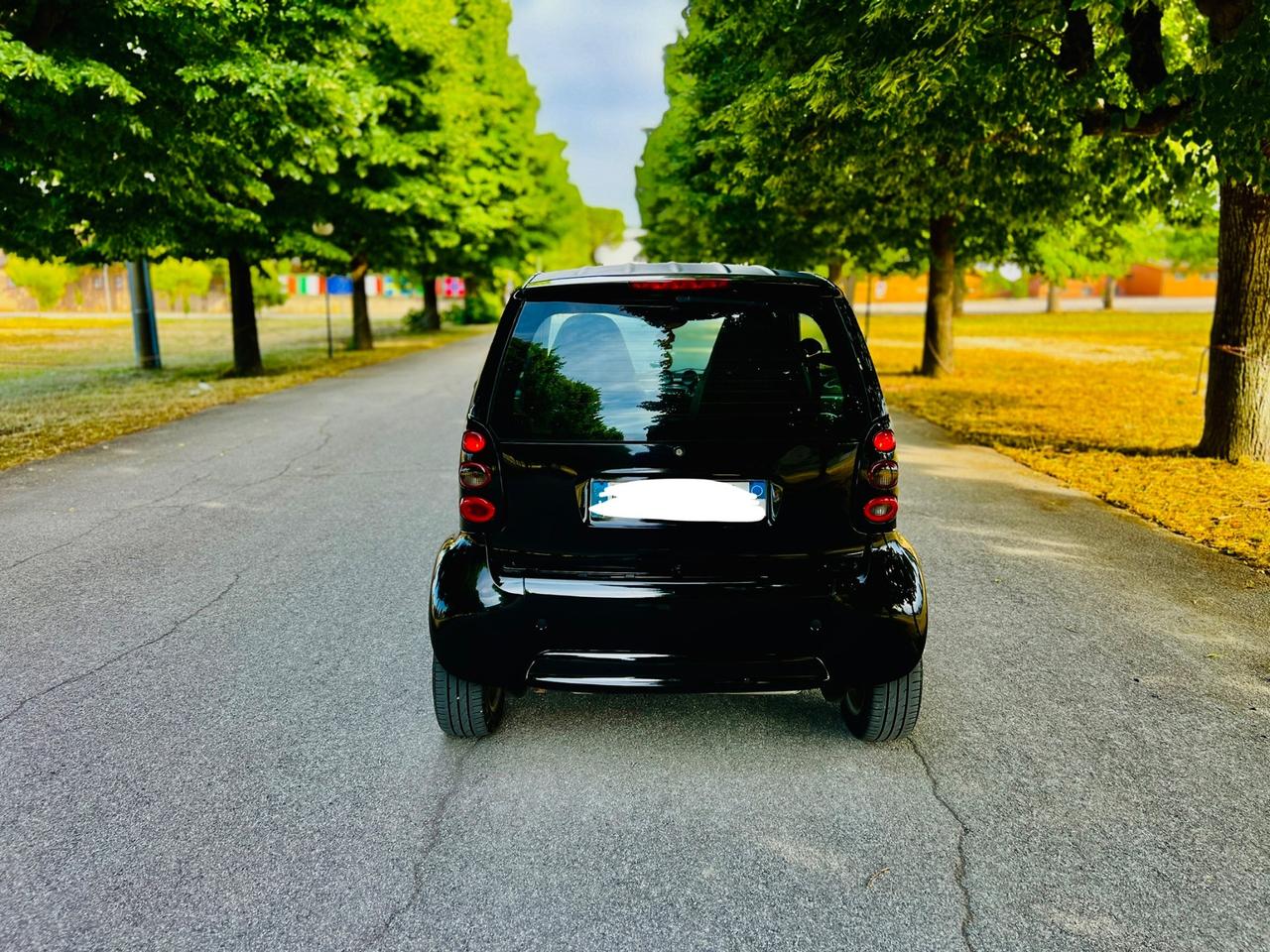 Smart 800 & pure cdi (30 kW)
