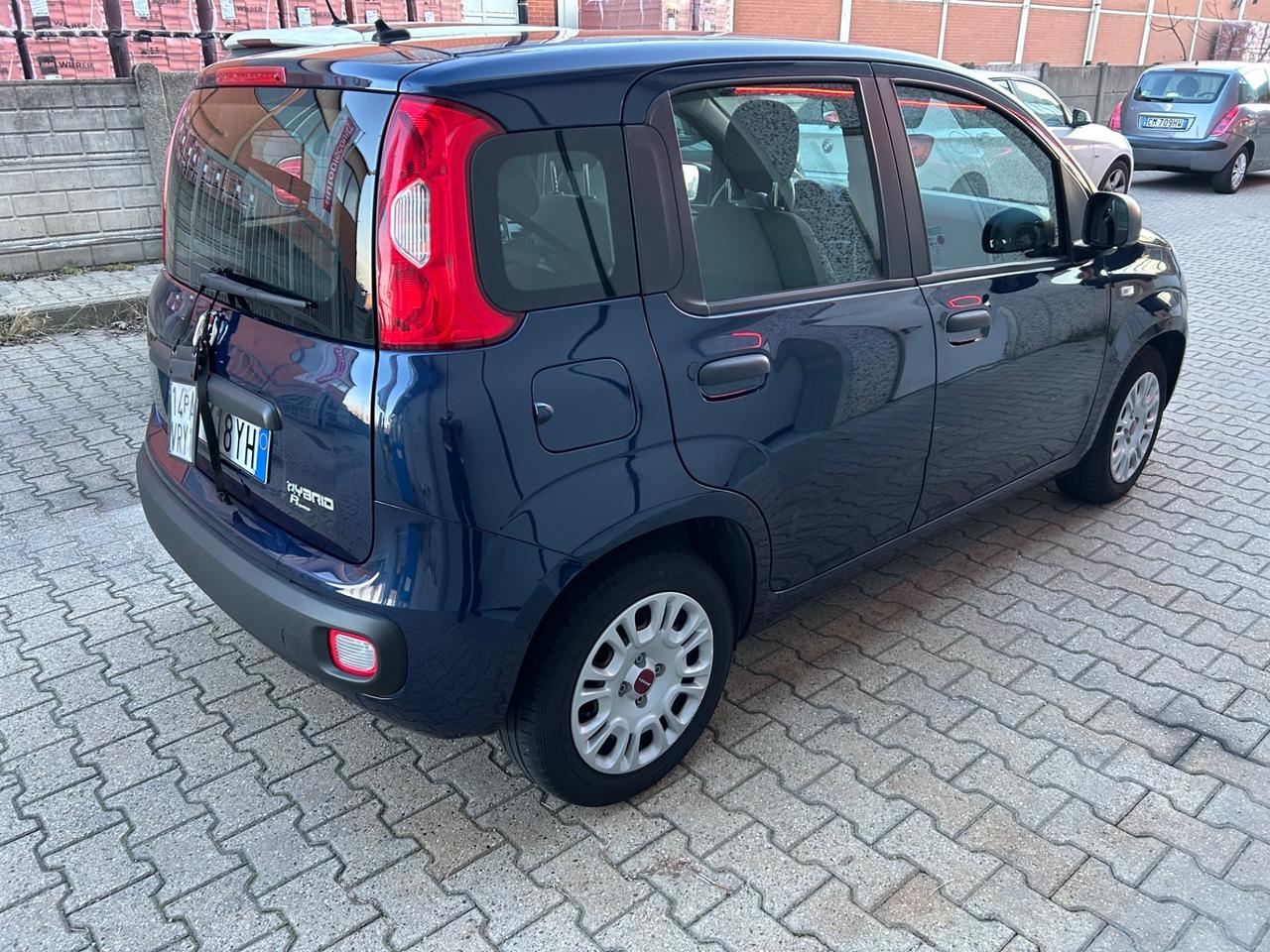 Fiat Panda easy varie Panda 5p