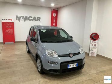 FIAT - Panda - 1.0 FireFly S&S Hybrid
