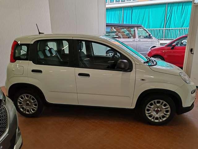 Fiat Panda 1.0 Hybrid 70cv Radio Bluetooth 36 Rate da 177,95