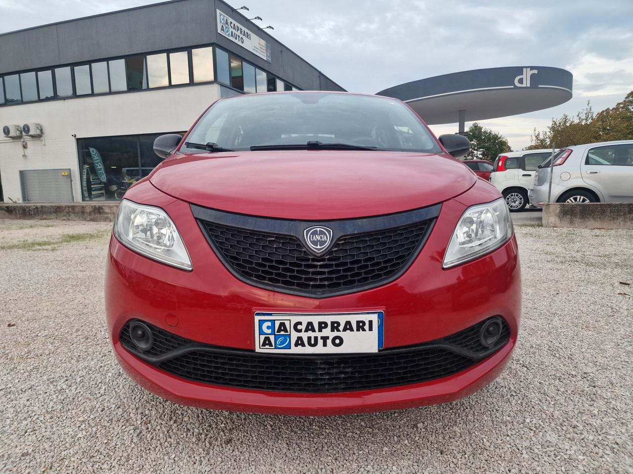 Lancia Ypsilon 1.2 69 CV 5 porte Elefantino