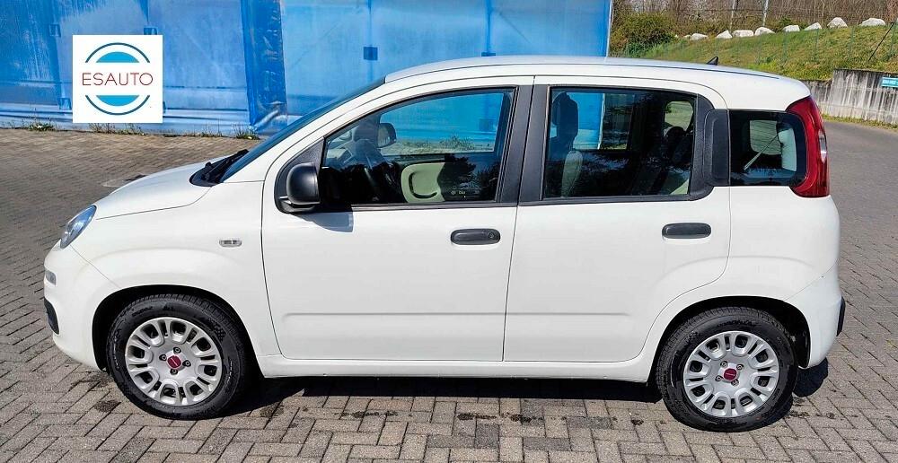 FIAT PANDA EASY 5 POSTI 1.2 BENZINA 69 CV EURO 6