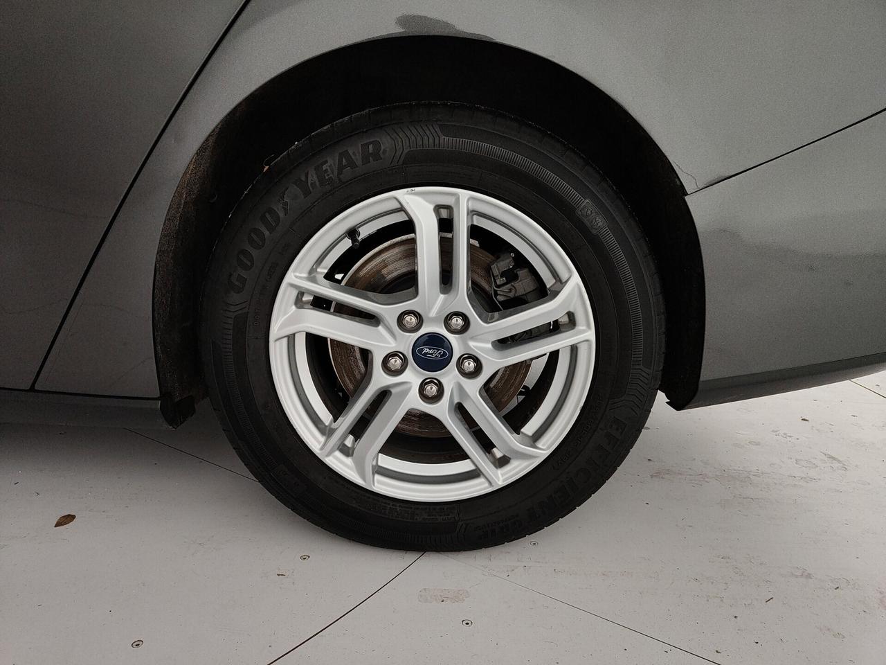 Ford Focus 1.5 EcoBlue 120 CV automatico SW Business Co-Pilot