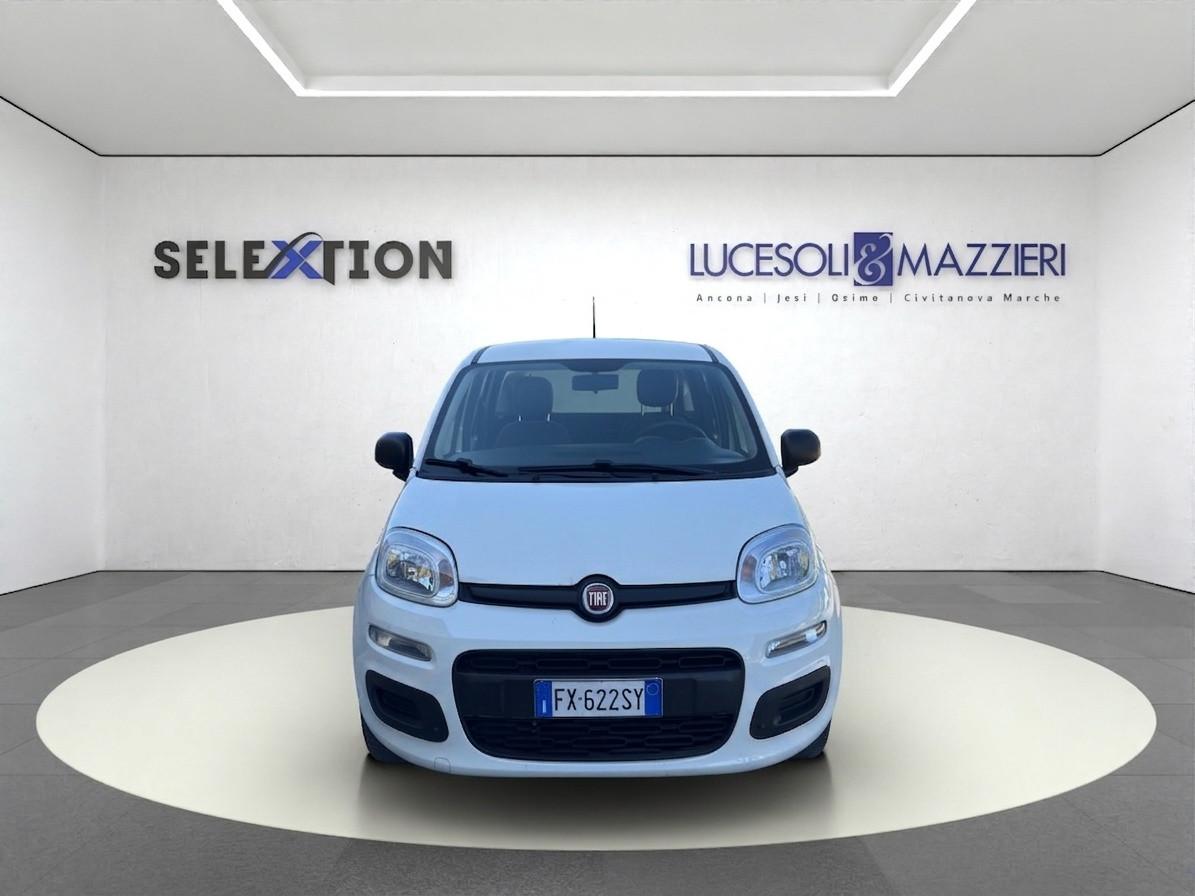 FIAT Panda 3ª serie - Panda 1.2 Easy