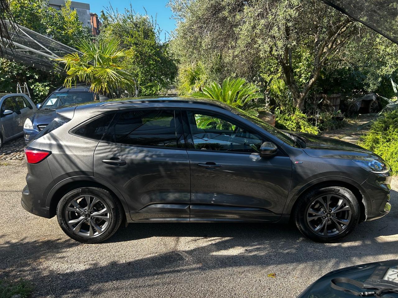 Ford Kuga 1.5 EcoBlue 120 CV aut. 2WD ST-Line