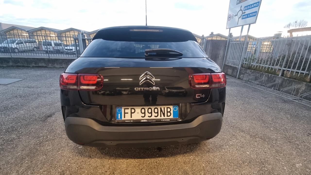 Citroen C4 Cactus BlueHDi 100 Shine