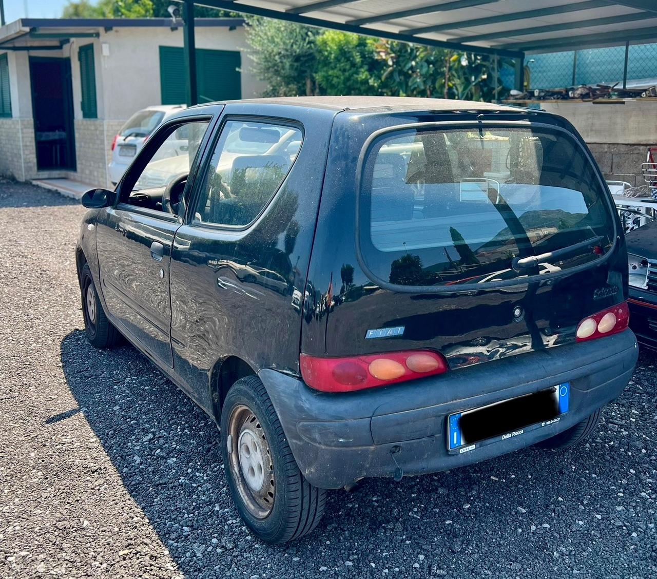 Fiat Seicento 900i cat Young