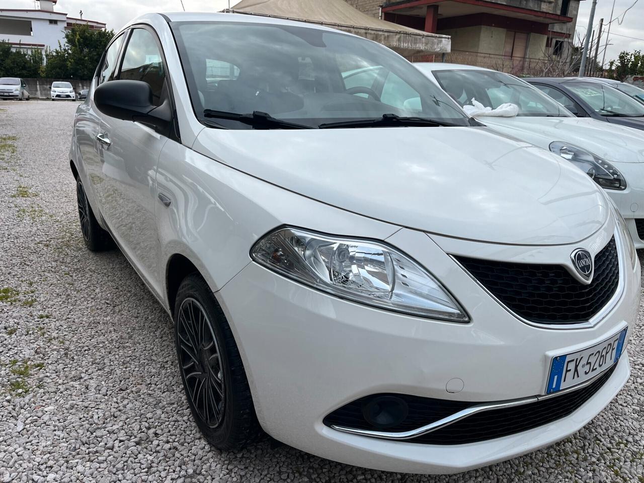 Lancia Ypsilon 1.2 69 CV 5 porte KM CERTIFICATI 1 PROPRIETARIO