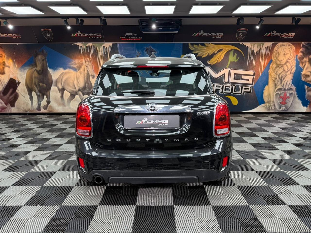 Mini Cooper Countryman 1.5 Hype ALL4 (835)