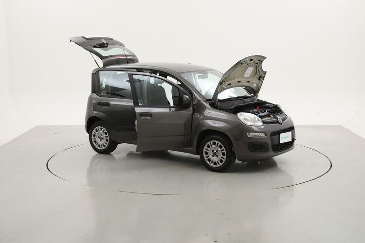 Fiat Panda Easy BR545083 1.2 Benzina 69CV