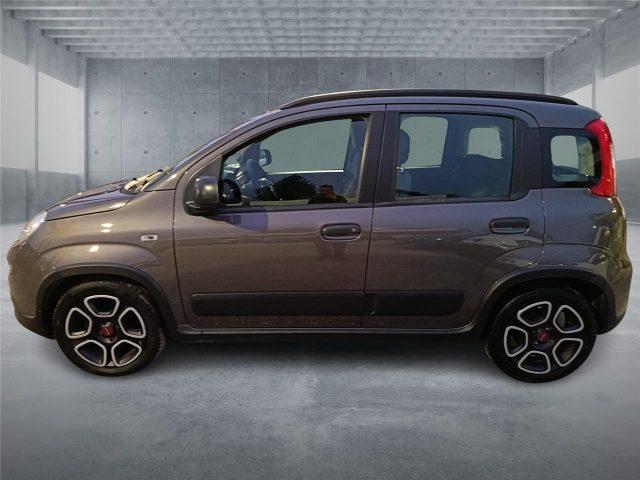 FIAT Panda 3ª serie 1.0 FireFly S&S Hybrid