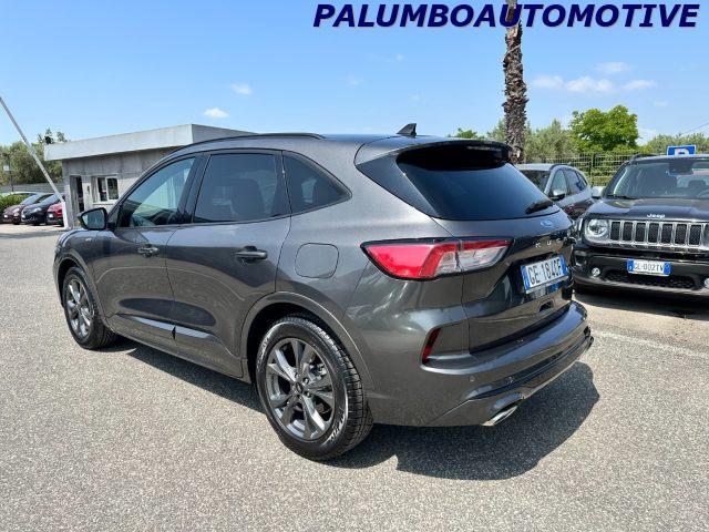 FORD Kuga 1.5 EcoBlue 120 CV 2WD ST-Line