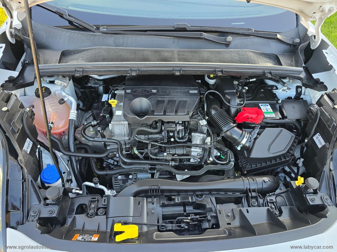 FORD Puma 1.0 EcoBoost Hyb. 125 CV ST-LINE