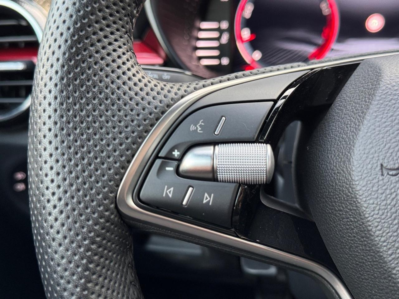 Skoda Fabia 1.0 mpi evo monte carlo 80cv