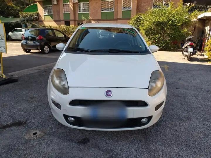 Fiat Punto 1.3 MJT II 75 CV 5 porte Street