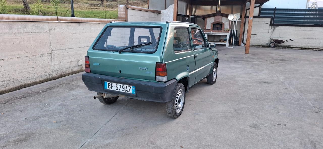 Fiat Panda 900 i.e. cat Young