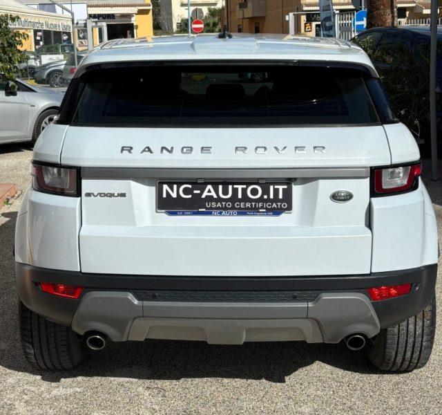 LAND ROVER Range Rover Evoque 2.0 TD4 150 CV 5p. Business Edition