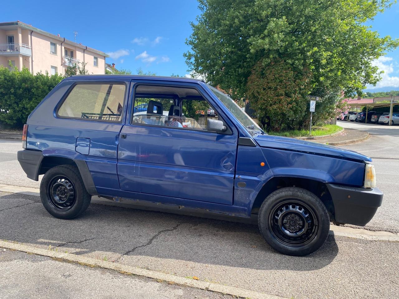 Fiat Panda 1100 i.e. cat College