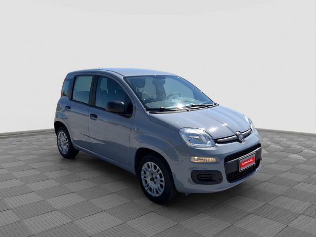 FIAT Panda Panda 1.2 69cv E6 POP