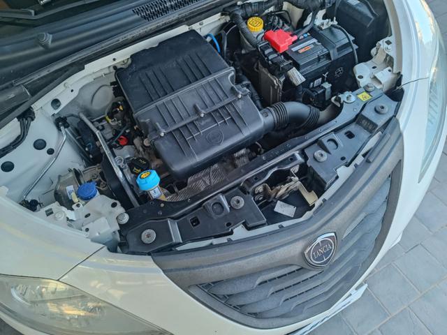 LANCIA Ypsilon 1.2 69 CV 5 porte Elefantino