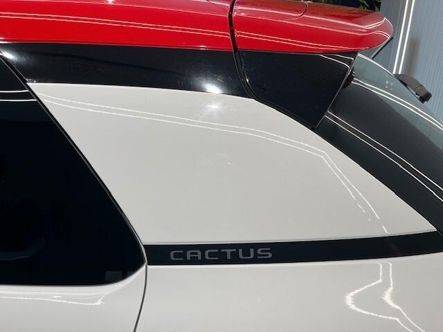 Citroen C4 Cactus BlueHDi 100 S&S Shine
