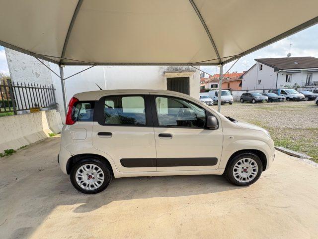 FIAT Panda 1.2 Lounge 5 POSTI EURO 6 OK NEOPATENTATI
