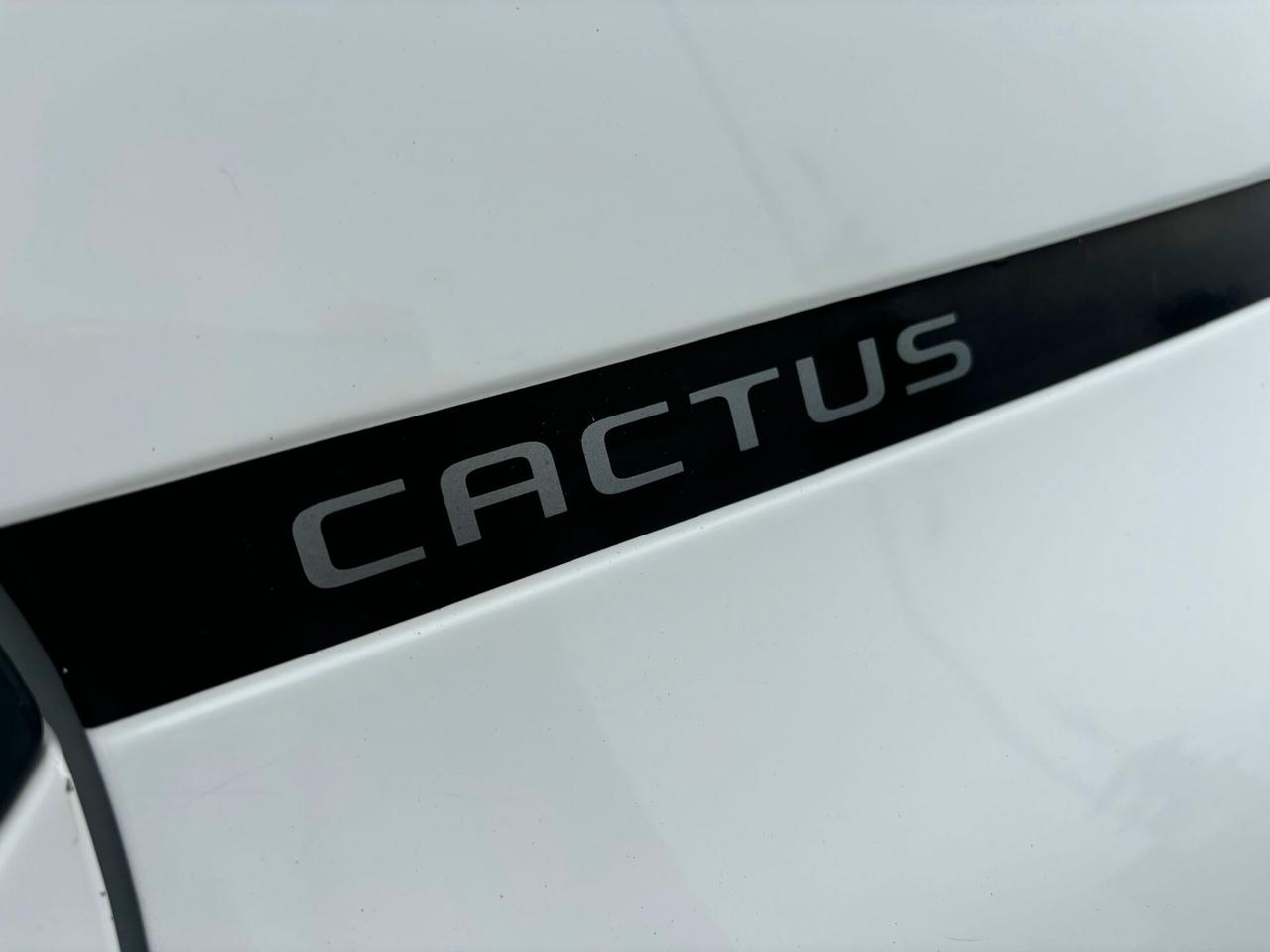 Citroen C4 Cactus BlueHDi 120 S&S EAT6 Shine
