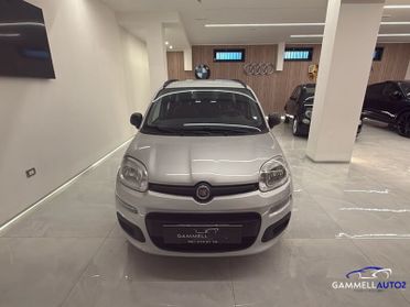 FIAT Panda 1.2 69cv E6 Easy