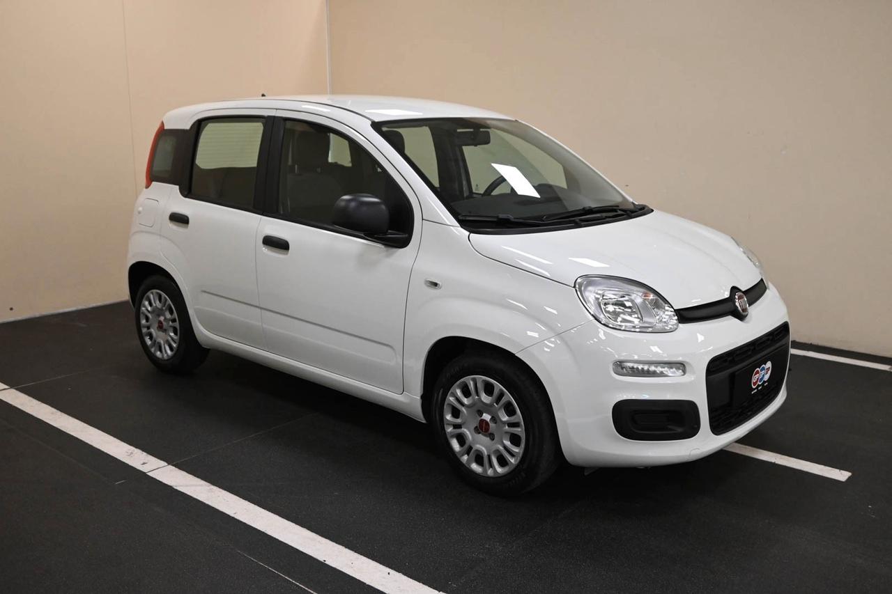 FIAT Panda 3ª serie Panda 1.0 FireFly S&S Hybrid