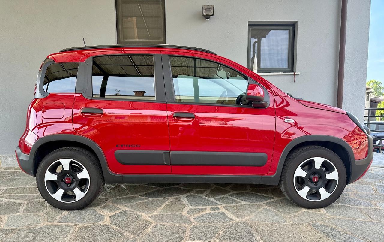 Fiat Panda Cross Panda 1.0 firefly hybrid Cross s&s 70cv 5p.ti