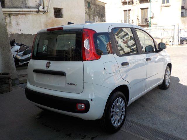 FIAT Panda MY25 - 1.0 FireFly Hybrid ICON