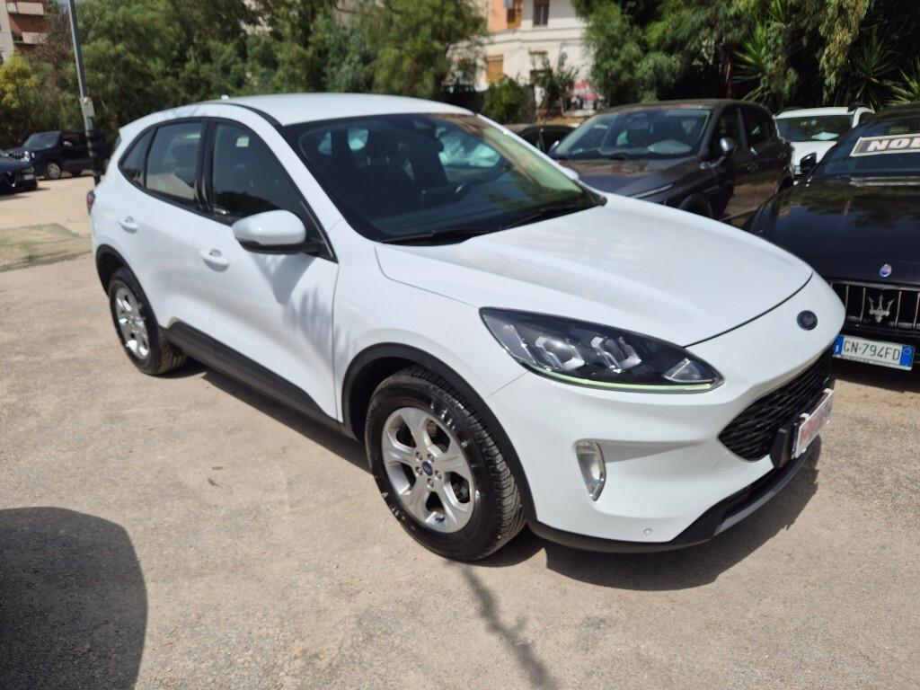 Ford Kuga 1.5 EcoBlue 120CV 2022 MANUALE