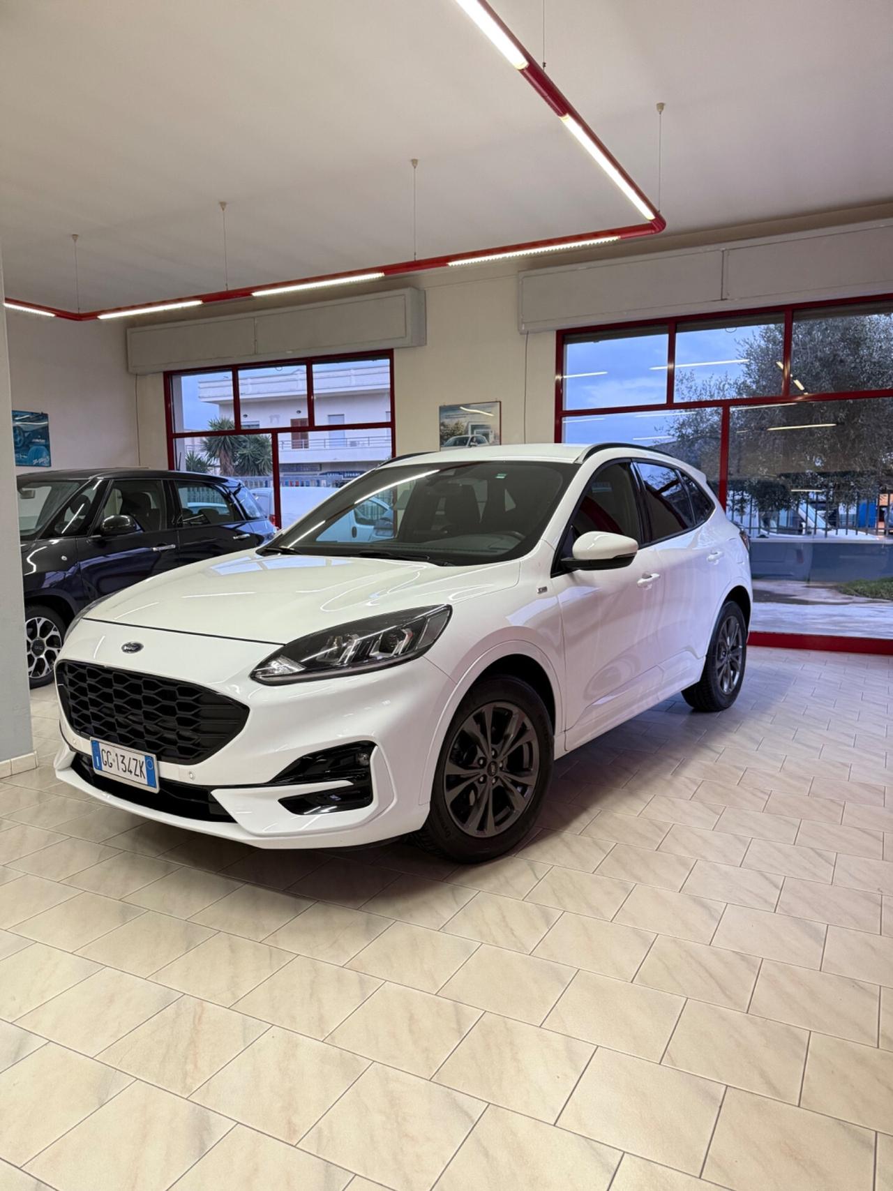 Ford Kuga 1.5 EcoBlue 120 CV aut. 2WD ST-Line X
