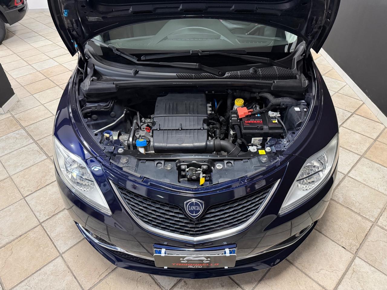 LANCIA Ypsilon 1.2 (69) Elefantino 2016