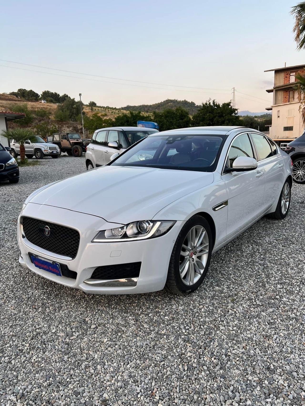 Jaguar XF 2.0 D 180 CV Prestige