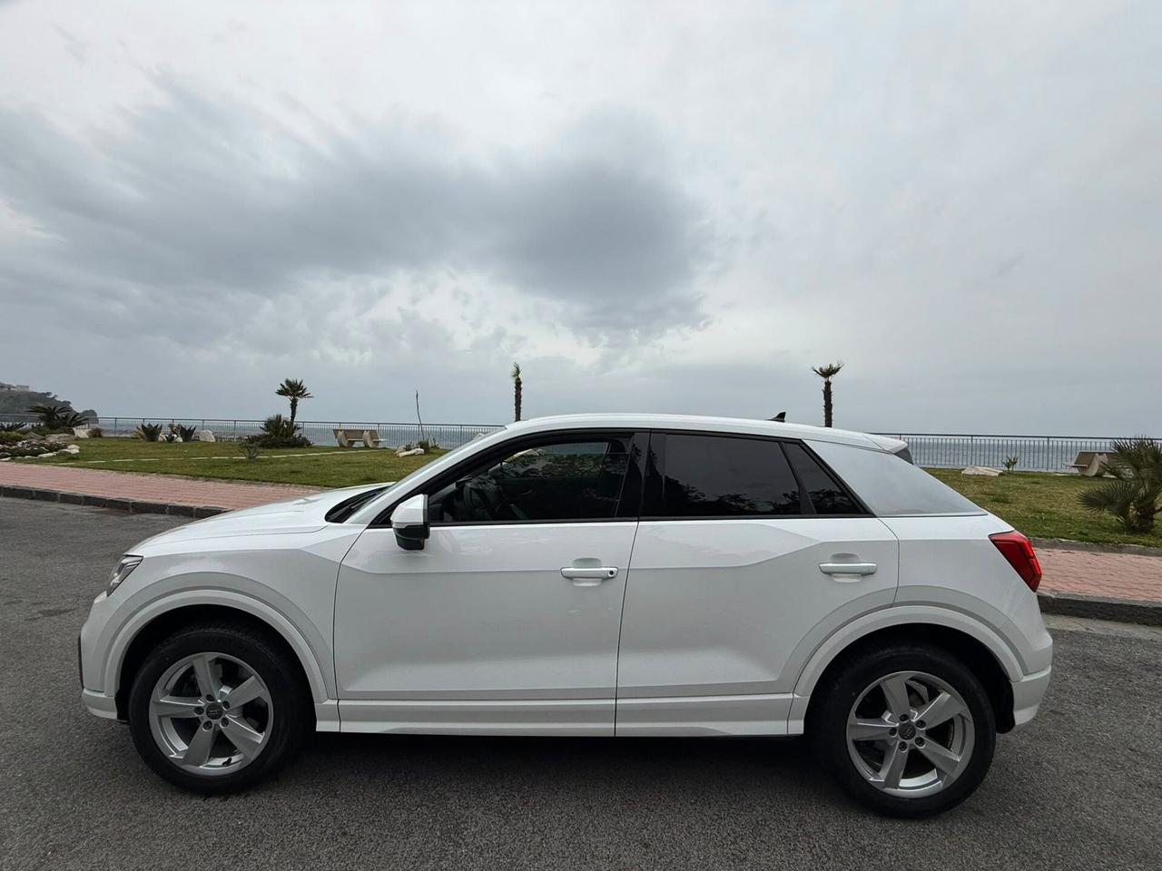 Audi Q2 1.6 TDI S tronic Business CAMBIO AUTOMATICO 3336121884