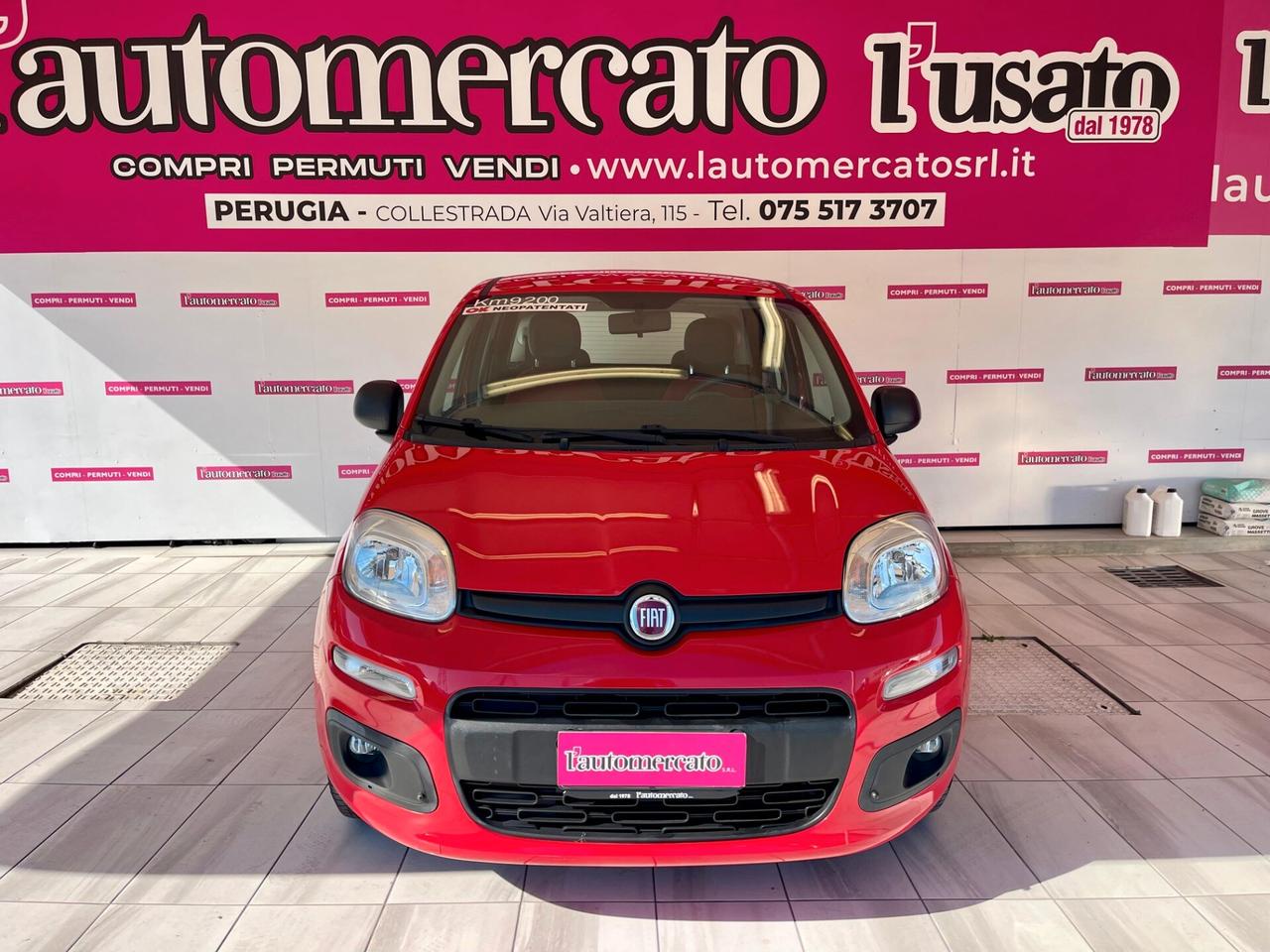 FIAT Panda 3ª serie Panda 1.2 Easy