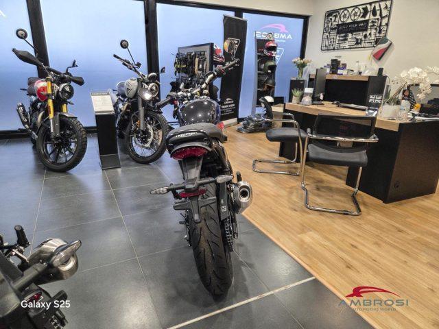 TRIUMPH Speed 400 2025MY