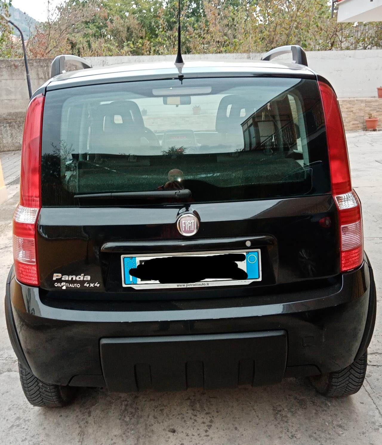 Fiat Panda 1.3 MJT 16V DPF 4x4 Climbing