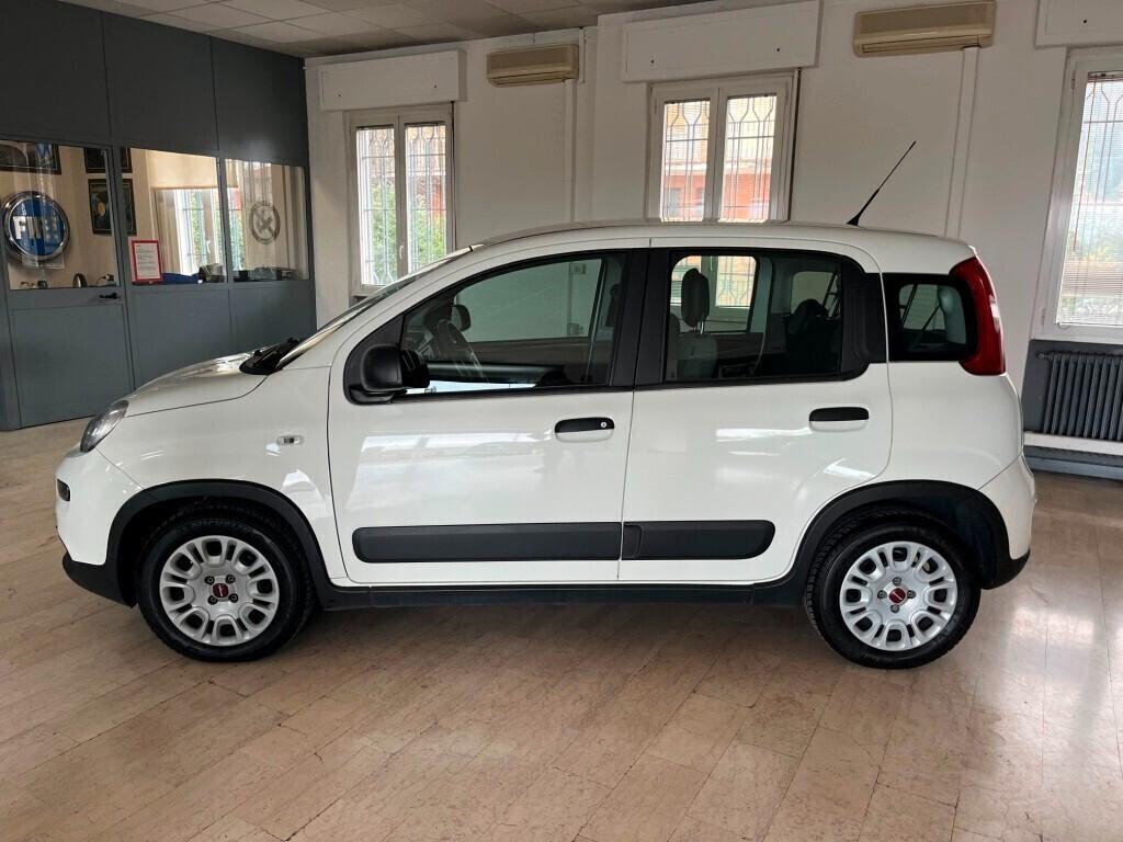 Fiat Panda Van 1.0 Hybrid Street 70Cv 5p. 4 posti Euro 6D