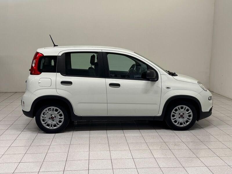 FIAT Panda 1.0 firefly hybrid s&s 70cv 5p.ti