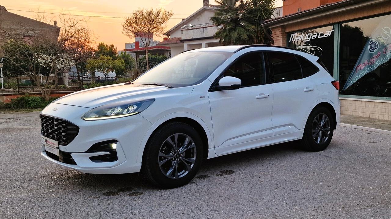 Ford Kuga 1.5 EcoBlue 120 CV 2WD ST-Line
