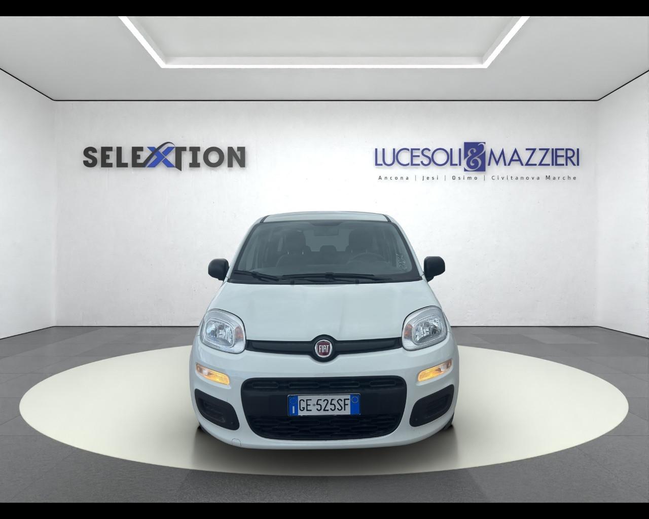 FIAT Panda 3ª serie - Panda 1.0 FireFly S&S Hybrid