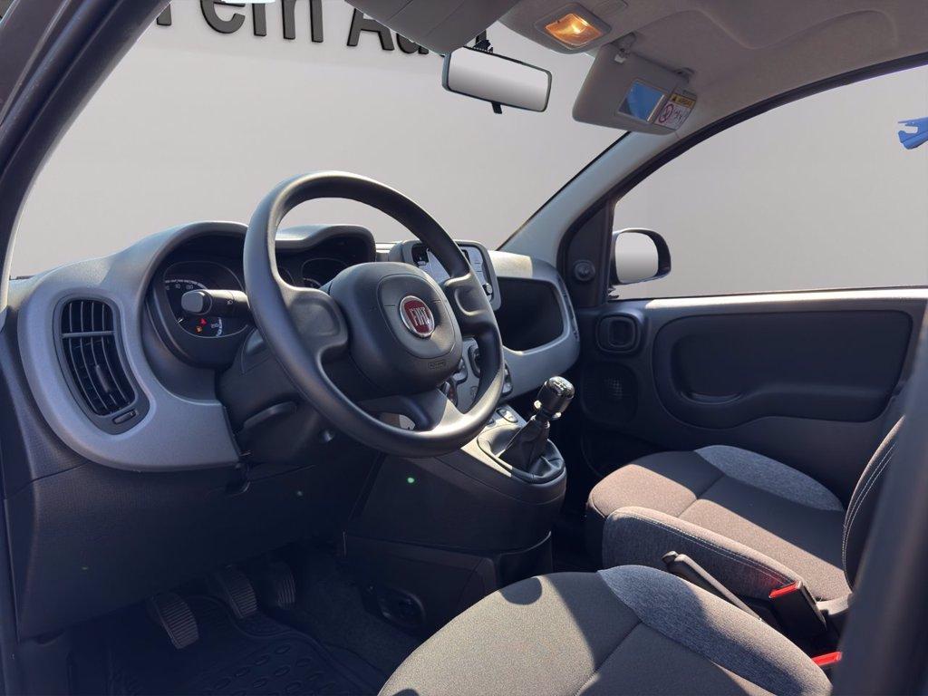 FIAT Panda 1.0 firefly hybrid city life s&s 70cv del 2023