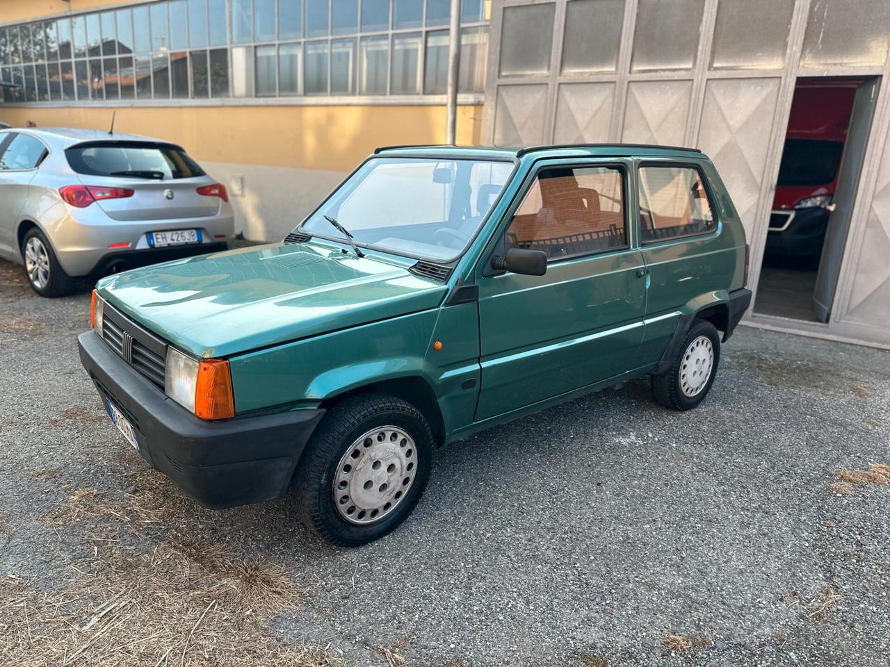 Fiat Panda 900 i.e. cat Young