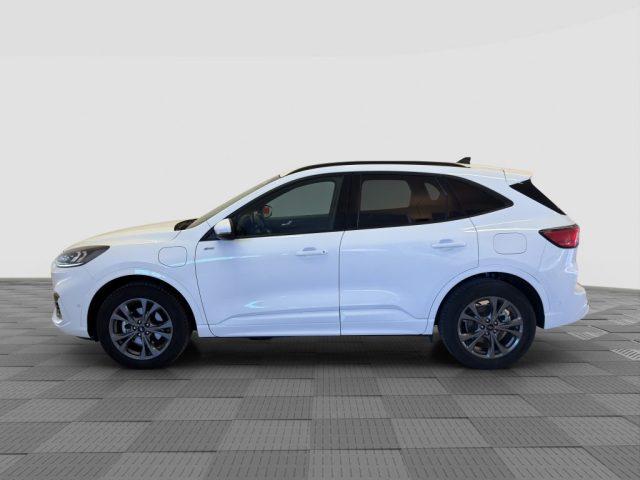 FORD Kuga Kuga 2.5 Plug In Hybrid 225 CV CVT 2WD ST-Line