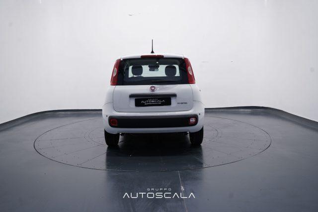FIAT New Panda My25 1.0 FireFly S&S Hybrid