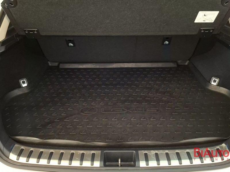 Lexus NX NX 300h 2.5 Premium 4wd cvt