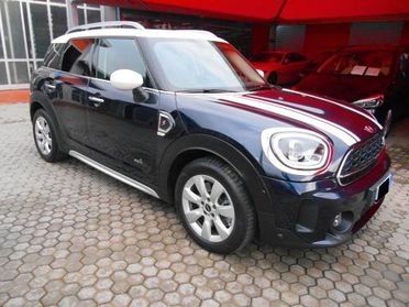 Mini Mini Countryman 2.0 Cooper S all4 4x4 AUTOM+TETTO APR. con IVA DETRAIBILE