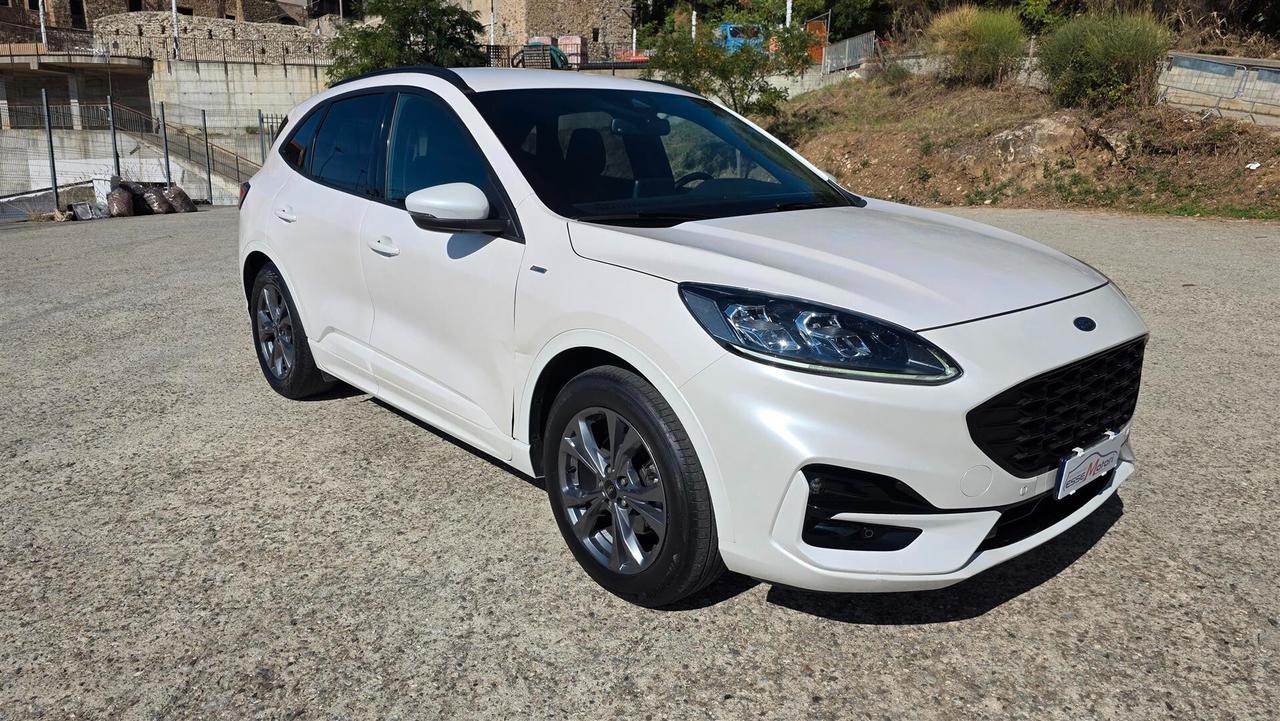 Ford Kuga 1.5 EcoBlue 120 CV aut. 2WD ST-Line X